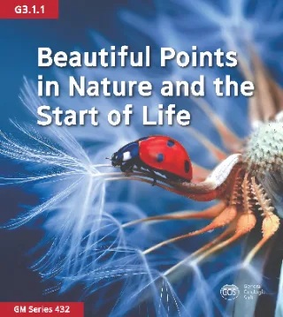 Beautiful Points in Nature and the Start of Life 4 %