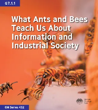 What Ants and Bees Teach Us About Information and Industrial Society