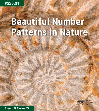 Beautiful Number in Nature Patter