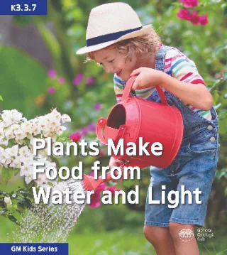 Plants Make Food from Water and Light