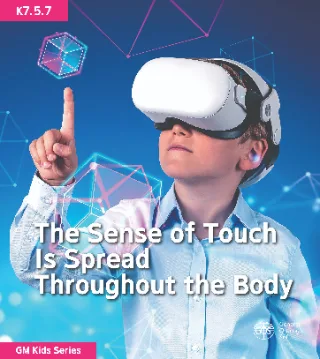 The Sense of Touch Is Spread Throughout the Body