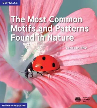 The Most Common Motifs and Patterns Found in Nature