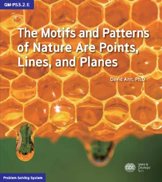 The Motifs and Patterns of Nature Are Points, Lines, and Planes