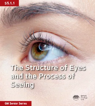 ture of Eyes The Si rye and tne Pry of