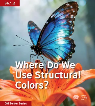 Where Do We Use Structural Colors?